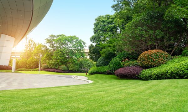 Cost of Commercial Lawn Mowing in Palm Beach Gardens