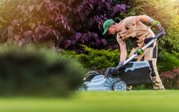 Lawn Care And Maintenance in Palm Beach Gardens