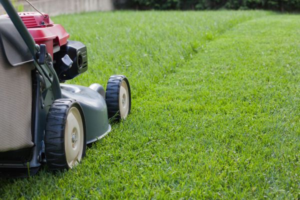 Lawn Care Service in Palm Beach Gardens