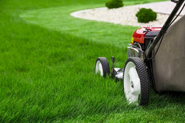 Mowing Service in Palm Beach Gardens