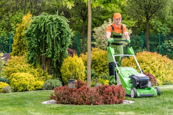 Cost of Yard Service in Palm Beach Gardens