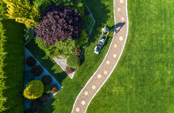 Cost of Mowing And Landscaping in Palm Beach Gardens