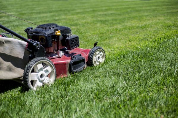 Cost of Routine Lawn Care in Palm Beach Gardens
