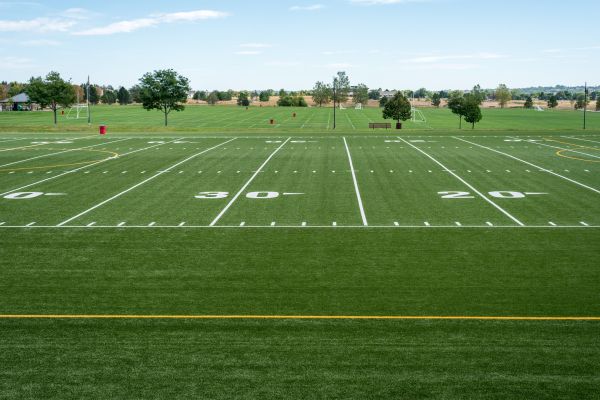 Cost of Groundskeeping Service in Palm Beach Gardens
