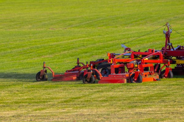 Cost of Industrial Lawn Service in Palm Beach Gardens