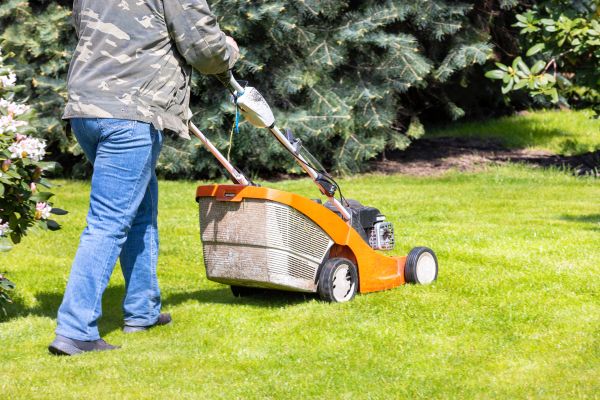 Springtime Lawn Care in Palm Beach Gardens