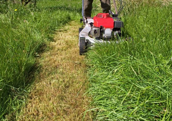 Cost of Leaf Mowing in Palm Beach Gardens