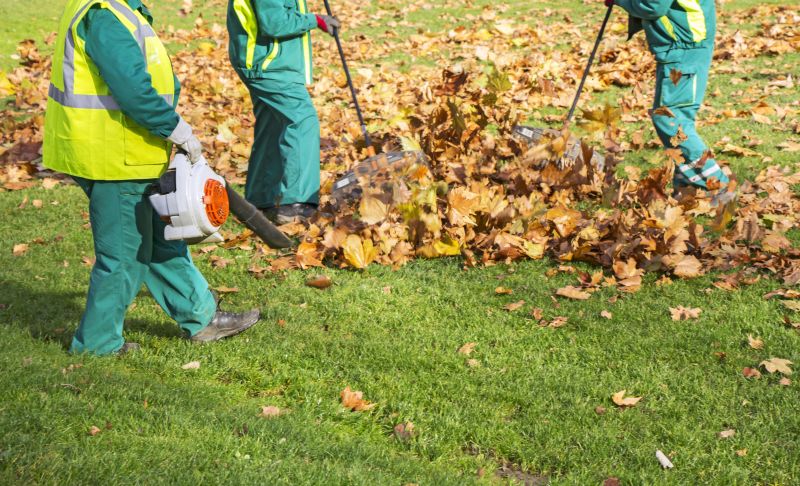 Professional Leaf Clearing