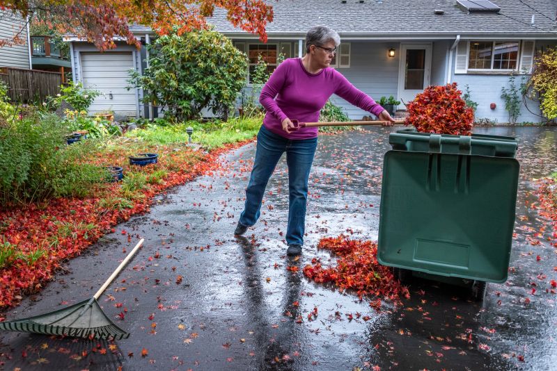 Fall Lawn Cleanup Process