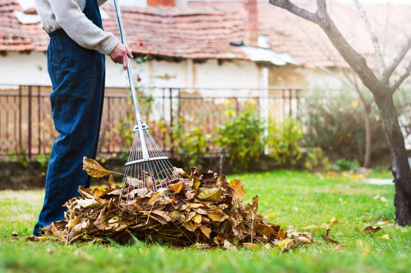 Clean Yard with Fall Leaves