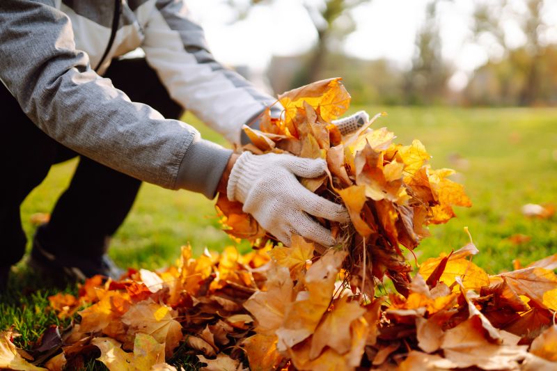 Leaves Being Collected