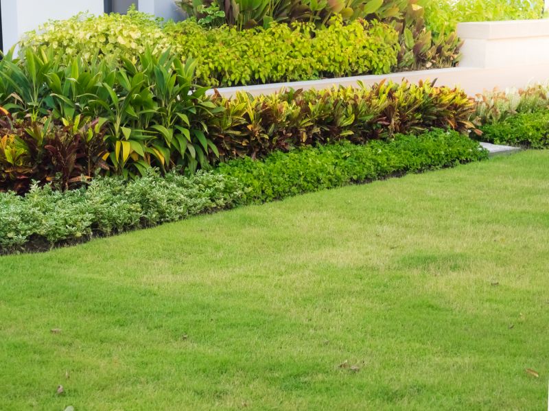 Lawn Care And Maintenance