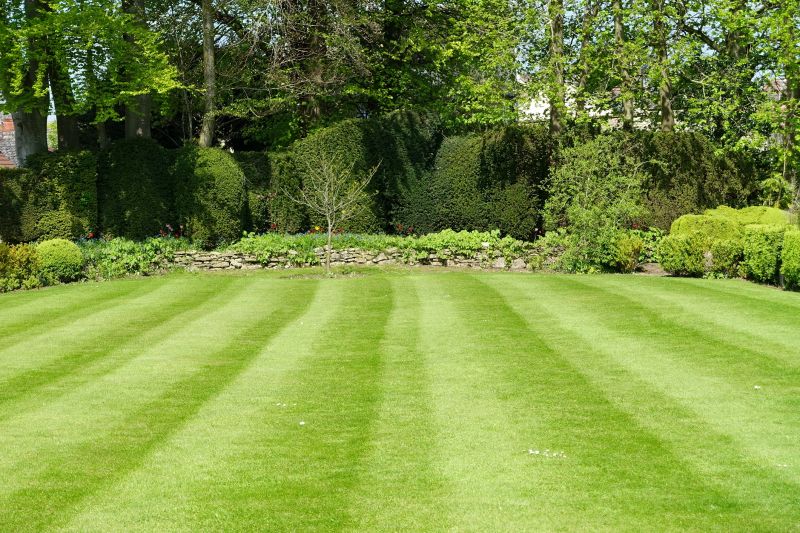 Lawn Edging and Trimming