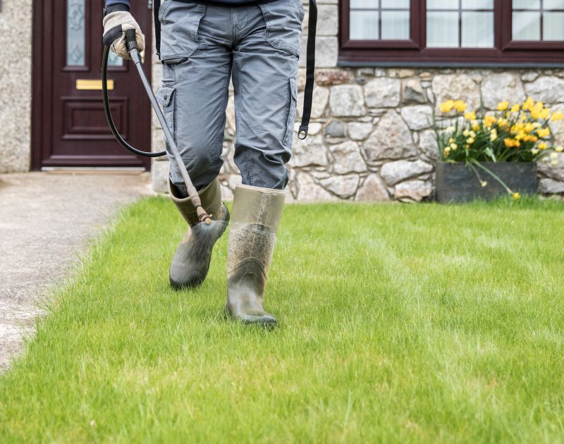 Lawn Mowing in the Morning