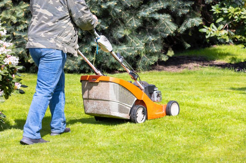 Summer Lawn Care